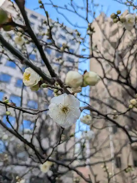 銀世界稲荷神社(東京都)