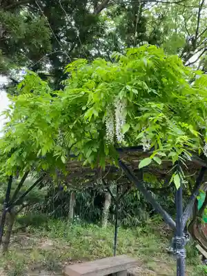 上合寺(福島県)