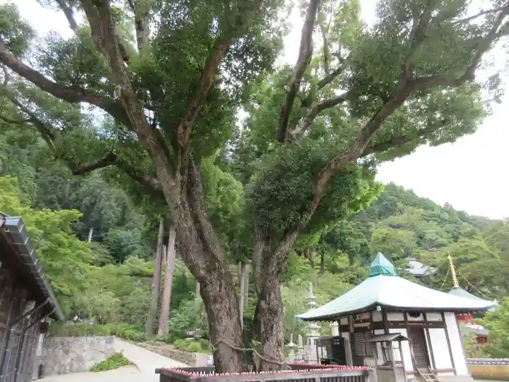 勝尾寺(大阪府)