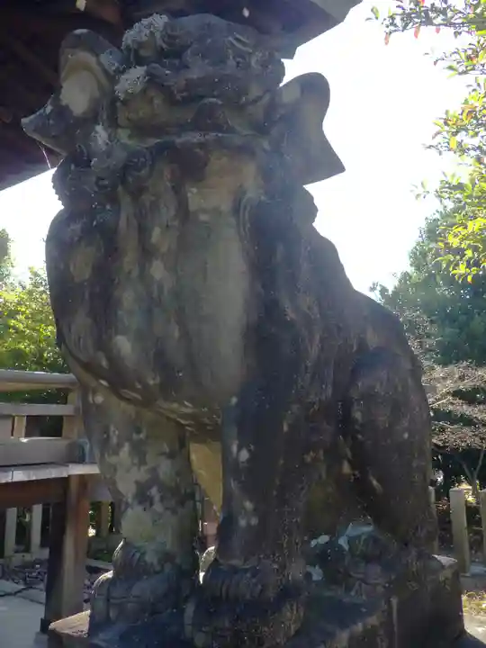 京都乃木神社の狛犬