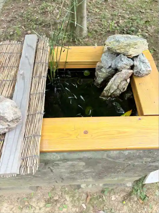 坂本八幡神社(徳島県)