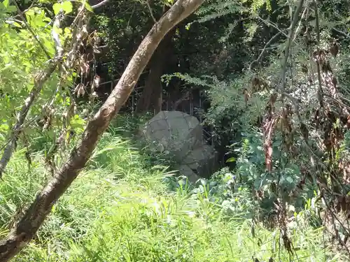 保久良神社の自然