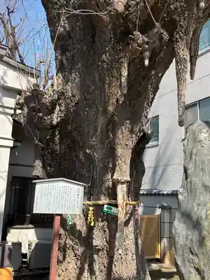 品川寺(東京都)