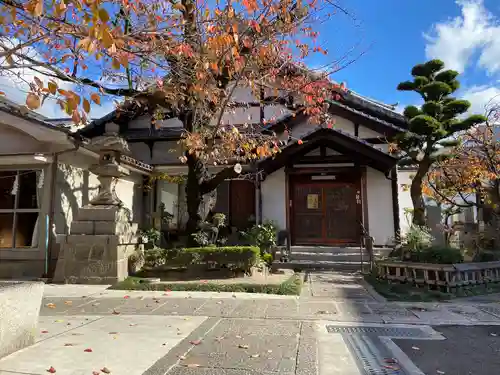 墨染寺（桜寺）(京都府)