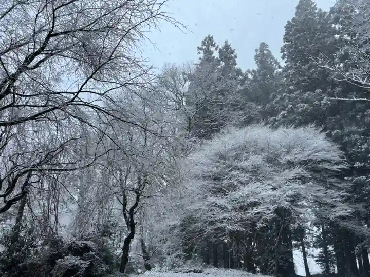大宮温泉神社(栃木県)