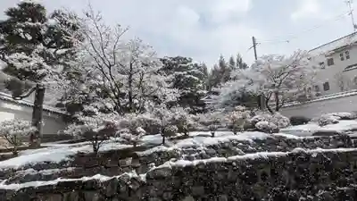 圓光寺(京都府)