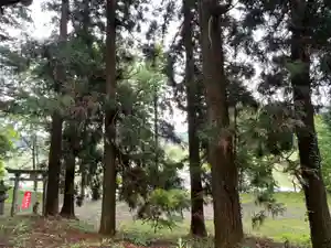 大宮温泉神社の周辺(2022年05月19日(木) 10時14分31秒投稿)