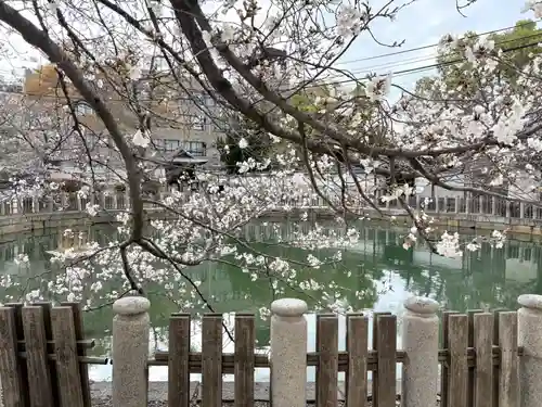 四天王寺(大阪府)