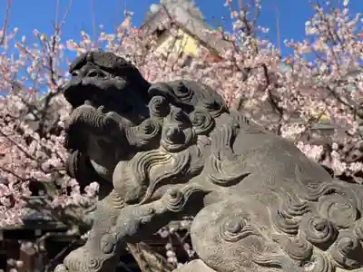 湯島天満宮の狛犬