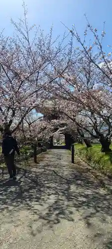熊谷寺(徳島県)