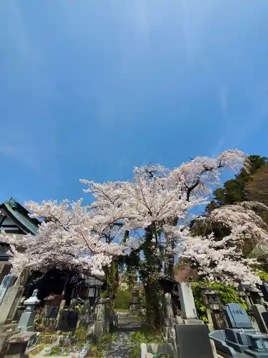 妙徳寺(福島県)