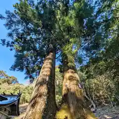 行縢神社(宮崎県)