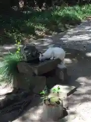 息栖神社の動物