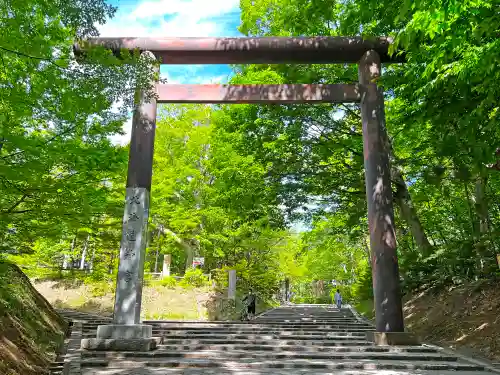 北海道神宮の鳥居