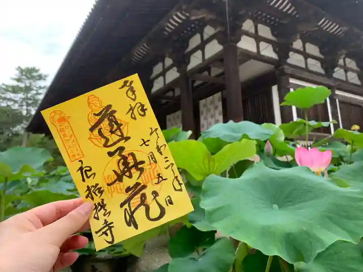 唐招提寺の御朱印