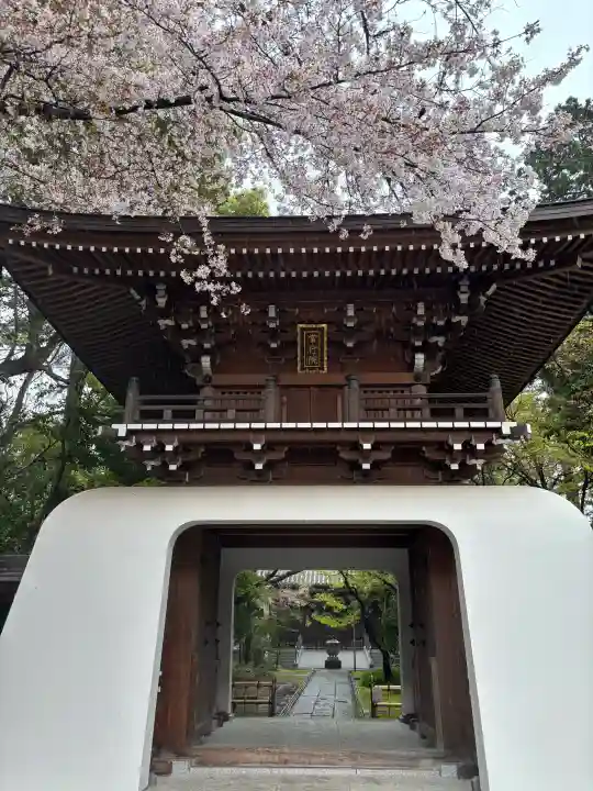 大正寺の{uncategorized: "未分類", other: "その他", undefined: "問題あり", building: "その他建物", grave: "お墓", sacred_gate: "鳥居", guardian: "狛犬", statue: "像", buddha: "仏像", history: "歴史", nature: "自然", garden: "庭園", animal: "動物", pagoda: "塔", temizu: "手水舎", mountain_gate: "山門・神門", sanctuary: "本殿・本堂", subordinate: "末社・摂社", art: "芸術", scenery: "景色", jizo: "地蔵", ema: "絵馬", goshuin: "御朱印", omikuji: "おみくじ", items: "授与品その他", amulet: "お守り", goshuincho: "御朱印帳", eats: "食事", festival: "お祭り", votive_dance: "神楽", shichigosan: "七五三参", wedding: "結婚式", experience: "体験その他", initially: "初詣", around: "周辺", anti_infection: "感染症対策"}