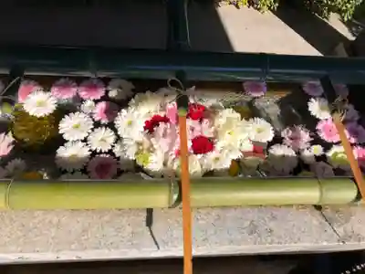 伊和志津神社の手水舎