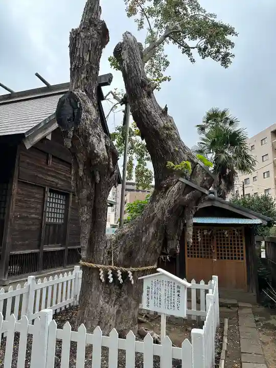 結城神明神社(千葉県)