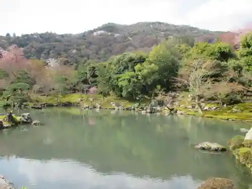 天龍寺の庭園