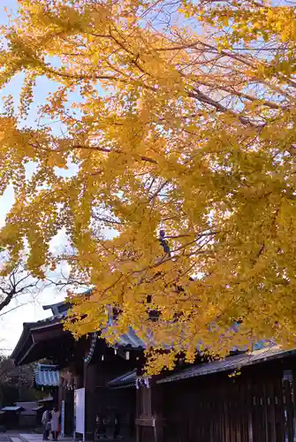 三嶋大社(静岡県)