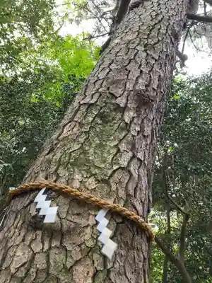 第六天神社(神奈川県)