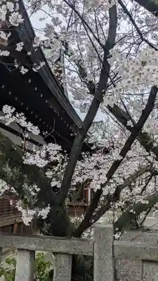 天孫神社(滋賀県)