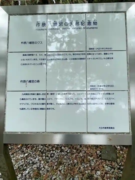 柞原八幡宮の{uncategorized: "未分類", other: "その他", undefined: "問題あり", building: "その他建物", grave: "お墓", sacred_gate: "鳥居", guardian: "狛犬", statue: "像", buddha: "仏像", history: "歴史", nature: "自然", garden: "庭園", animal: "動物", pagoda: "塔", temizu: "手水舎", mountain_gate: "山門・神門", sanctuary: "本殿・本堂", subordinate: "末社・摂社", art: "芸術", scenery: "景色", jizo: "地蔵", ema: "絵馬", goshuin: "御朱印", omikuji: "おみくじ", items: "授与品その他", amulet: "お守り", goshuincho: "御朱印帳", eats: "食事", festival: "お祭り", votive_dance: "神楽", shichigosan: "七五三参", wedding: "結婚式", experience: "体験その他", initially: "初詣", around: "周辺", anti_infection: "感染症対策"}