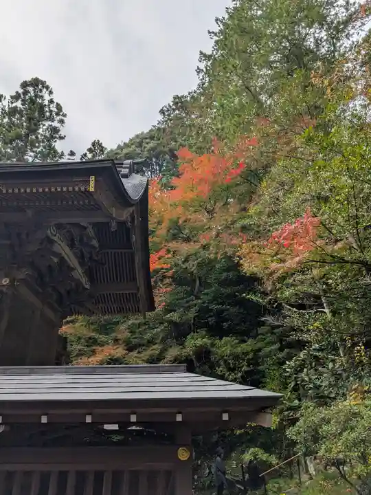 宝登山神社(埼玉県)