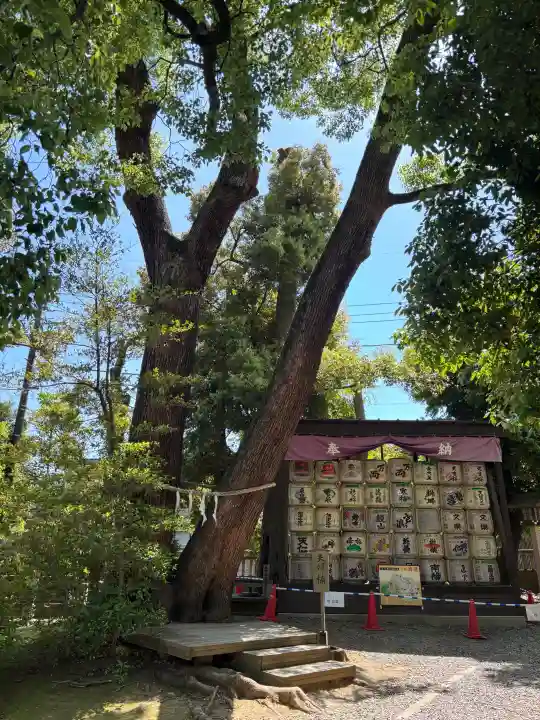 武蔵一宮氷川神社の{uncategorized: "未分類", other: "その他", undefined: "問題あり", building: "その他建物", grave: "お墓", sacred_gate: "鳥居", guardian: "狛犬", statue: "像", buddha: "仏像", history: "歴史", nature: "自然", garden: "庭園", animal: "動物", pagoda: "塔", temizu: "手水舎", mountain_gate: "山門・神門", sanctuary: "本殿・本堂", subordinate: "末社・摂社", art: "芸術", scenery: "景色", jizo: "地蔵", ema: "絵馬", goshuin: "御朱印", omikuji: "おみくじ", items: "授与品その他", amulet: "お守り", goshuincho: "御朱印帳", eats: "食事", festival: "お祭り", votive_dance: "神楽", shichigosan: "七五三参", wedding: "結婚式", experience: "体験その他", initially: "初詣", around: "周辺", anti_infection: "感染症対策"}