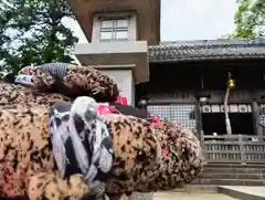 菅生神社の建物その他