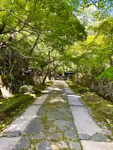 金剛輪寺(滋賀県)