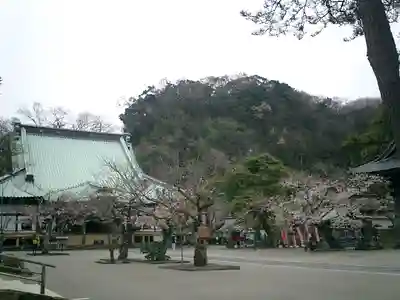 光明寺の本殿・本堂