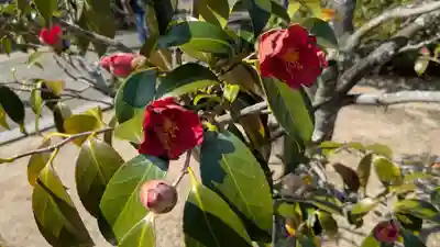 湯神社(愛媛県)