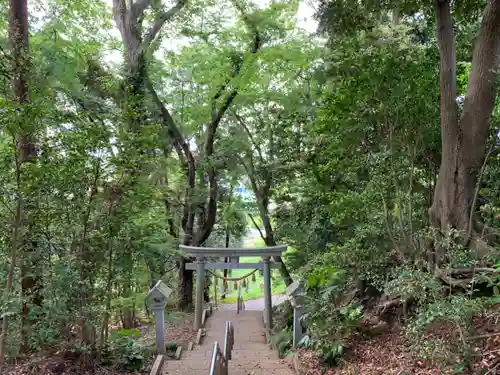 白幡神社の鳥居