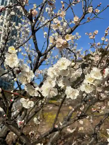 芝東照宮の自然