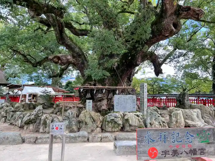 宇美八幡宮(福岡県)