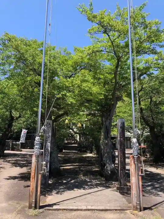 天鷹神社(岐阜県)