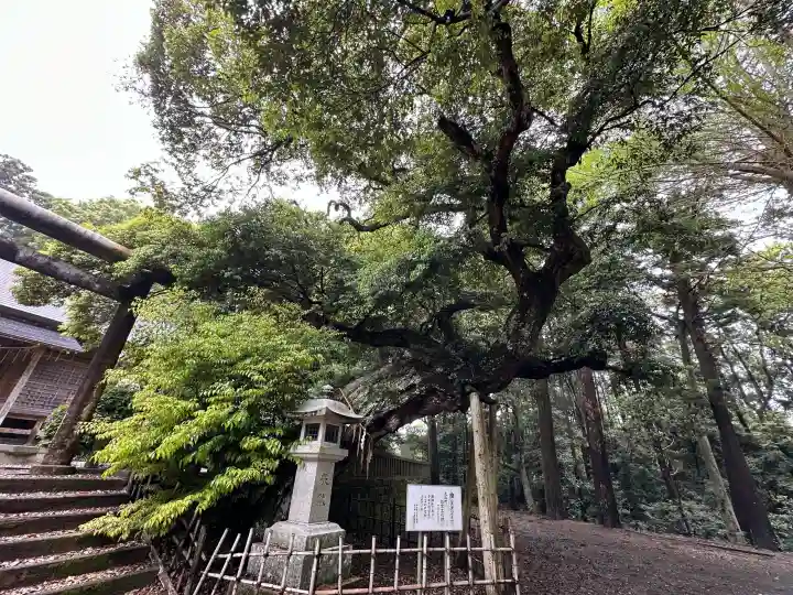 莫越山神社の{uncategorized: "未分類", other: "その他", undefined: "問題あり", building: "その他建物", grave: "お墓", sacred_gate: "鳥居", guardian: "狛犬", statue: "像", buddha: "仏像", history: "歴史", nature: "自然", garden: "庭園", animal: "動物", pagoda: "塔", temizu: "手水舎", mountain_gate: "山門・神門", sanctuary: "本殿・本堂", subordinate: "末社・摂社", art: "芸術", scenery: "景色", jizo: "地蔵", ema: "絵馬", goshuin: "御朱印", omikuji: "おみくじ", items: "授与品その他", amulet: "お守り", goshuincho: "御朱印帳", eats: "食事", festival: "お祭り", votive_dance: "神楽", shichigosan: "七五三参", wedding: "結婚式", experience: "体験その他", initially: "初詣", around: "周辺", anti_infection: "感染症対策"}