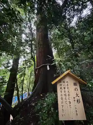 丹生川上神社（中社）(奈良県)