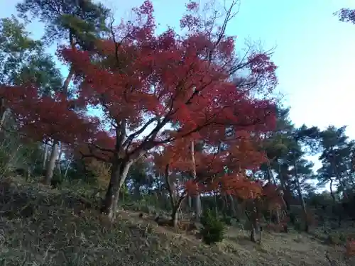 足利織姫神社(栃木県)