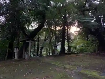 白幡神社(千葉県)