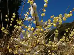 清水寺(栃木県)