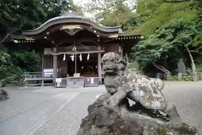 貫井神社(東京都)