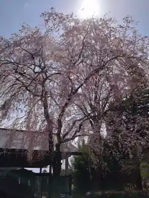 蒲生神社(栃木県)