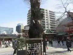 神田神社（神田明神）(東京都)