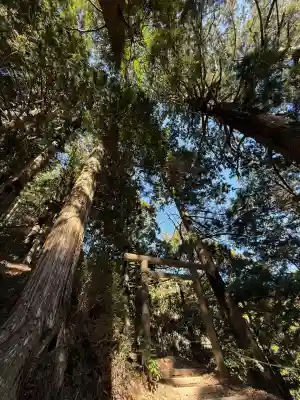 玉置神社(奈良県)