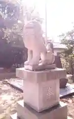 北星神社の狛犬
