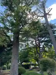 四本松神社の自然