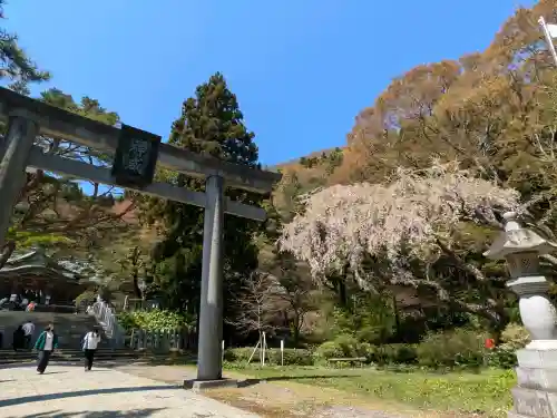 函館八幡宮の{uncategorized: "未分類", other: "その他", undefined: "問題あり", building: "その他建物", grave: "お墓", sacred_gate: "鳥居", guardian: "狛犬", statue: "像", buddha: "仏像", history: "歴史", nature: "自然", garden: "庭園", animal: "動物", pagoda: "塔", temizu: "手水舎", mountain_gate: "山門・神門", sanctuary: "本殿・本堂", subordinate: "末社・摂社", art: "芸術", scenery: "景色", jizo: "地蔵", ema: "絵馬", goshuin: "御朱印", omikuji: "おみくじ", items: "授与品その他", amulet: "お守り", goshuincho: "御朱印帳", eats: "食事", festival: "お祭り", votive_dance: "神楽", shichigosan: "七五三参", wedding: "結婚式", experience: "体験その他", initially: "初詣", around: "周辺", anti_infection: "感染症対策"}