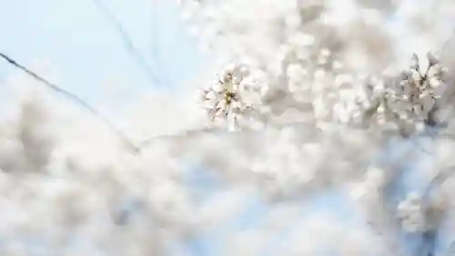 足羽神社(福井県)